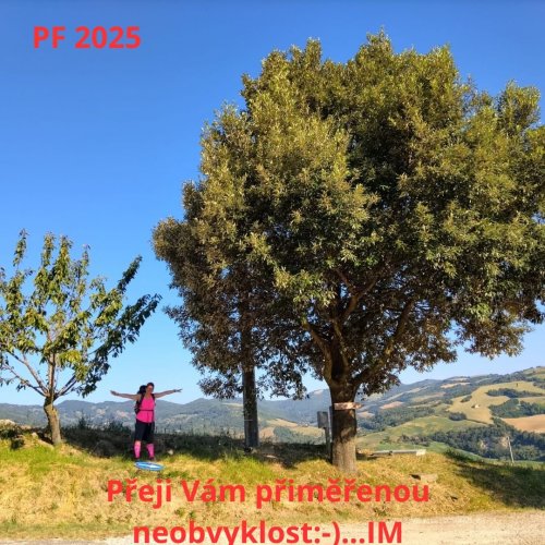 PF 2025